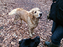 Test99-294