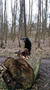 Test99-338