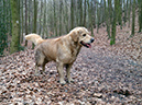 Test99-299