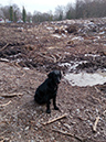 Test99-086