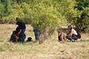 DSC06835