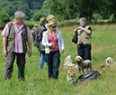 DSC_0531---Arbeitskopie-2