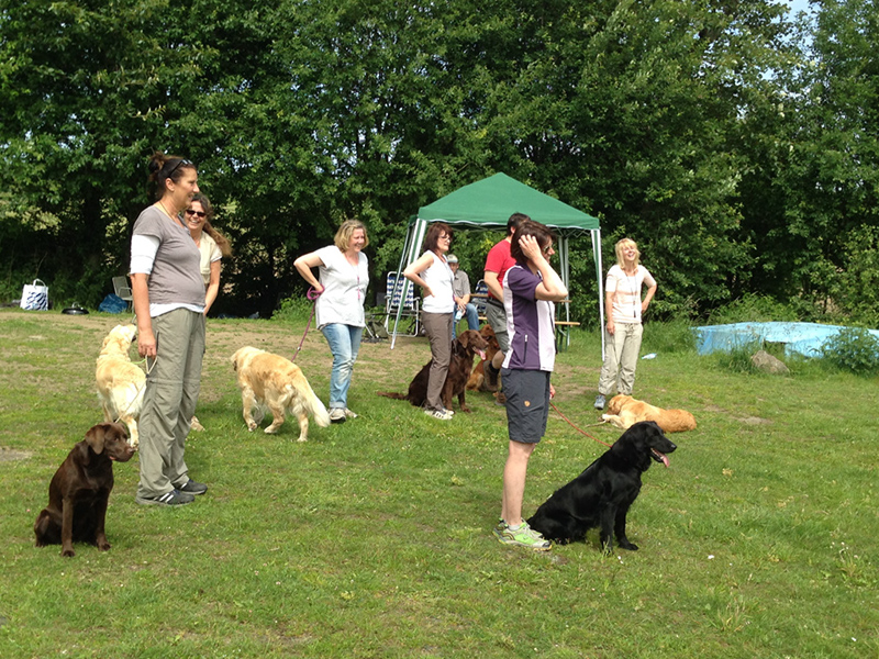 workingtest detlef und emma haus sarah 062
