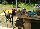 workingtest detlef und emma haus sarah 076