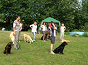 workingtest detlef und emma haus sarah 062