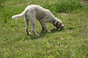 2014-06-01 · 13-33-08 · 1603