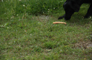 2014-06-01 · 13-34-35 · 1618