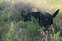 DSC07088