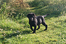 DSC07091