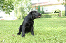 2014-07-12 -À 16-31-35 -À 093