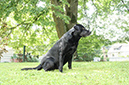 2014-07-12 -À 16-32-15 -À 098