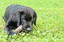 2014-07-12 -À 16-30-16 -À 080