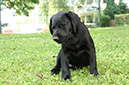 2014-07-12 -À 16-31-31 -À 089