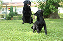 2014-07-12 -À 16-32-49 -À 109