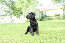 2014-07-12 -À 16-31-49 -À 095