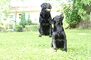 2014-07-12 -À 16-32-50 -À 110