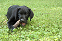 2014-07-12 -À 16-30-17 -À 081