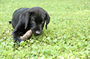 2014-07-12 -À 16-30-19 -À 083