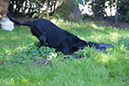 DSC07362