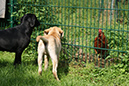 DSC07660