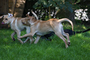 DSC07340