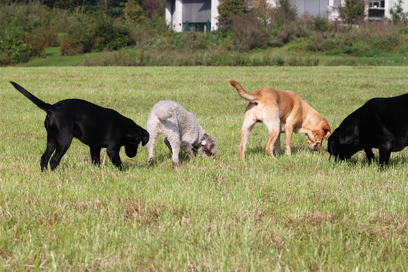 2014-09-06 -À 10-27-44 -À 060 ÔÇö Andrea Held