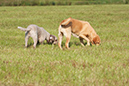 2014-09-06 -À 10-27-34 -À 110