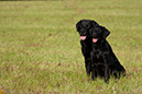 2014-09-06 -À 10-25-11 -À 100