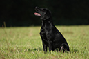 2014-09-06 -À 10-17-49 -À 023