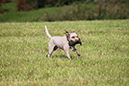2014-09-06 -À 10-36-03 -À 118 ÔÇö Andrea Held