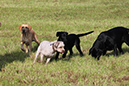 2014-09-06 -À 10-28-06 -À 063 ÔÇö Andrea Held