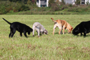2014-09-06 -À 10-27-44 -À 060 ÔÇö Andrea Held