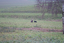 DSC08350