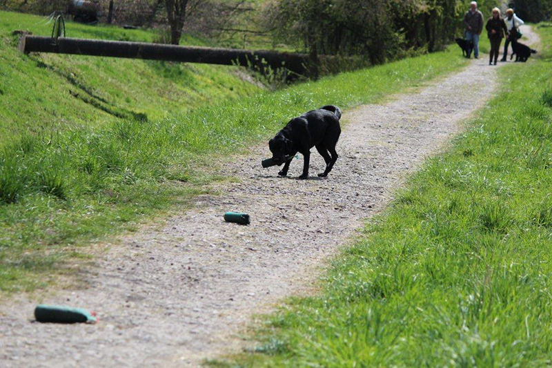 IMG_4102