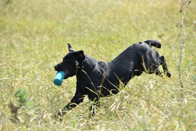 picture-dsc_7234