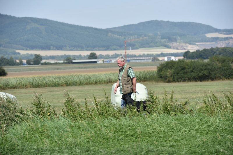 picture-dsc_7524
