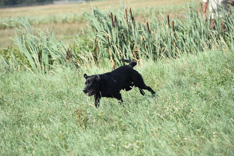 picture-dsc_7531