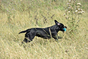 picture-dsc_7245
