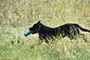picture-dsc_7236