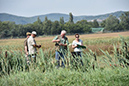 picture-dsc_7538