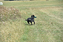 picture-dsc_7247