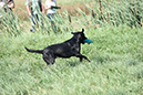 picture-dsc_7536
