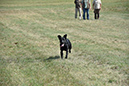 picture-dsc_7241