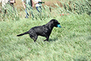 picture-dsc_7535