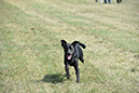 picture-dsc_7242