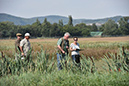 picture-dsc_7528
