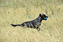 picture-dsc_7244