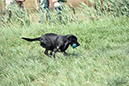 picture-dsc_7534