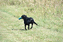 picture-dsc_7238