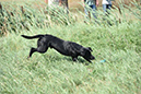 picture-dsc_7532
